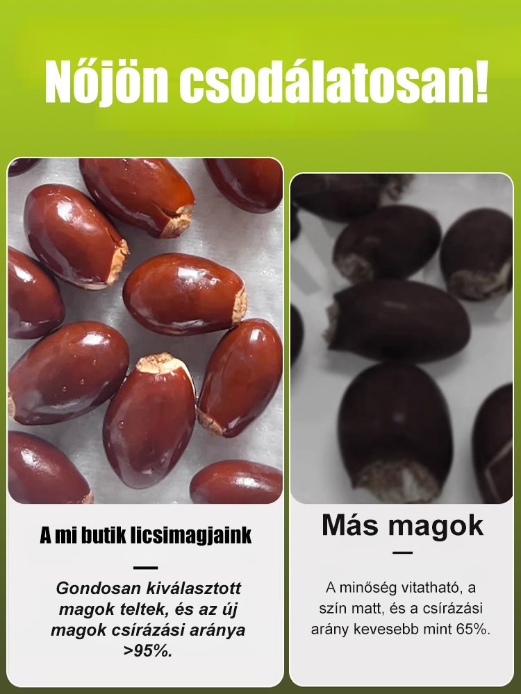 Csomagolja a Lychee King túlélési magjait