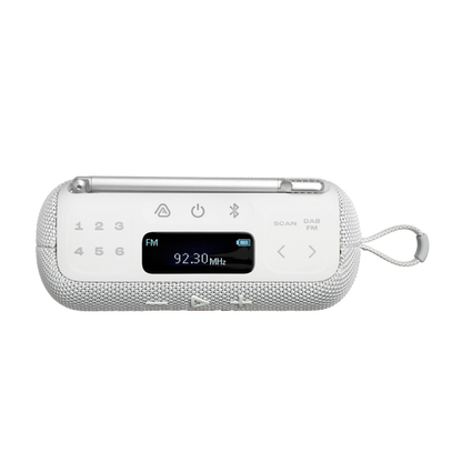 JBL Tuner 3